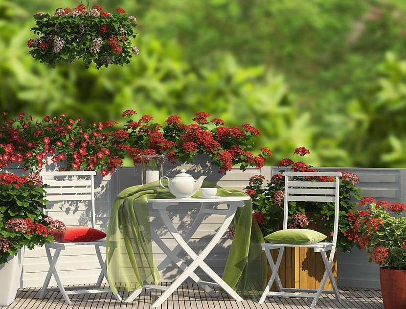 Soutěž o zahradní nábytek – výherce