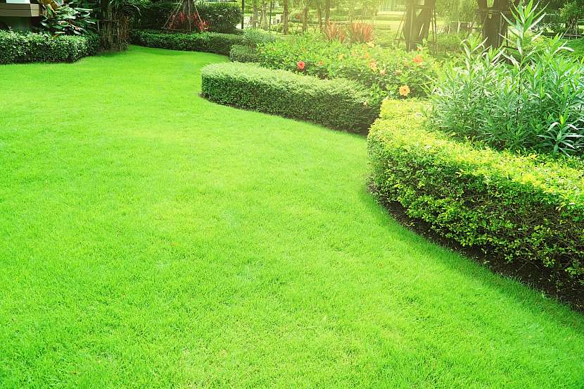 Zdravý trávník je chloubou každé zahrady