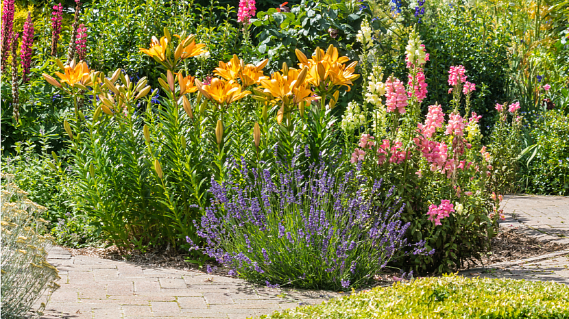Přírodní aromaterapie na zahradě