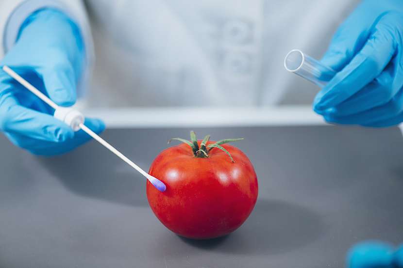 Pokud rajčata mulčujete trávou, kterou jste dříve ošetřovali pesticidy, najdete je pak i v rajčatech