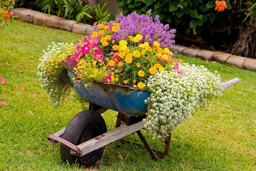 50 x vozíky, trakaře a kolečka plná květin – inspirace pro vás