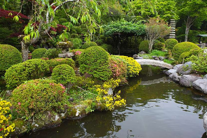 Jezírko v japonské zahradě