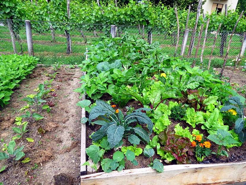 Udržitelné zahradničení – ten nejlepší nápad pro letošní rok