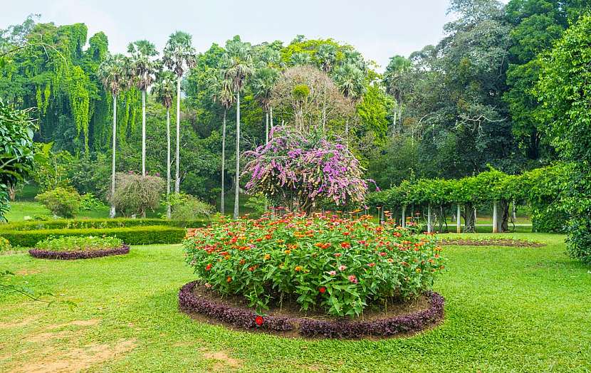 Botanická zahrada, která vám vezme dech – Paradeniya na Srí Lance