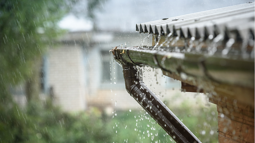 Jak použít na zahradě dešťovou vodu?