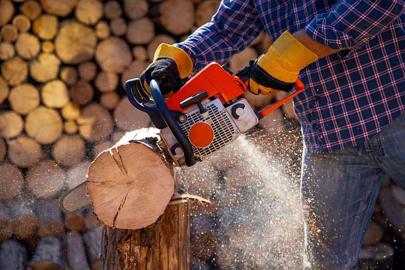 Jak vybrat řetězovou pilu na řezání palivového dřeva