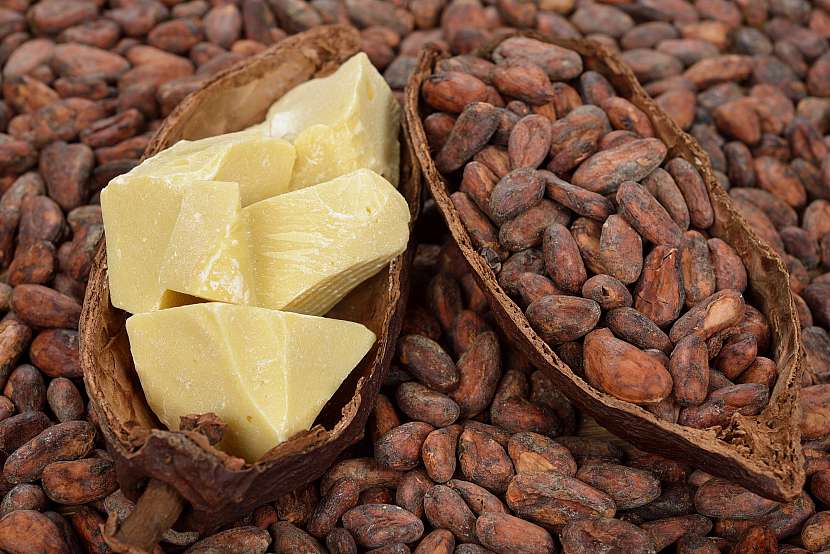 Kakaové boby, jako pokrm bohů, mají specifické využití