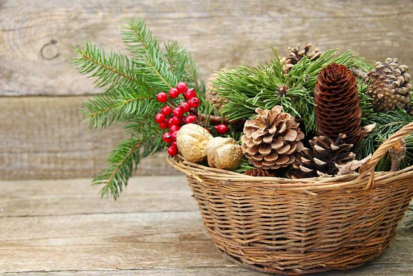 Šišky jako skvělý materiál pro vánoční dekorace