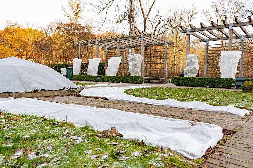 Ochrana zahrady před mrazem vyžaduje přípravu (Zdroj: Depositphotos (https://cz.depositphotos.com)) 