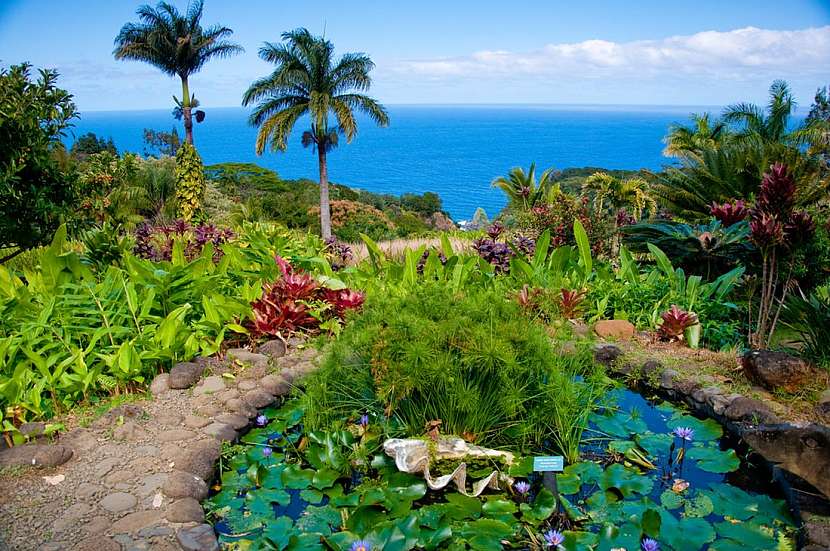 Inspirujte se zahradami na Havaji