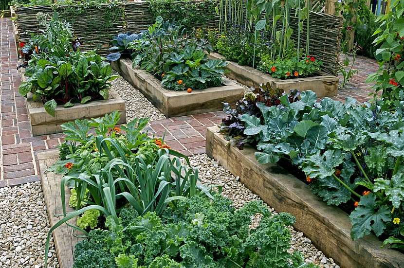 Villandry – zahrada, kde vládne zelenina