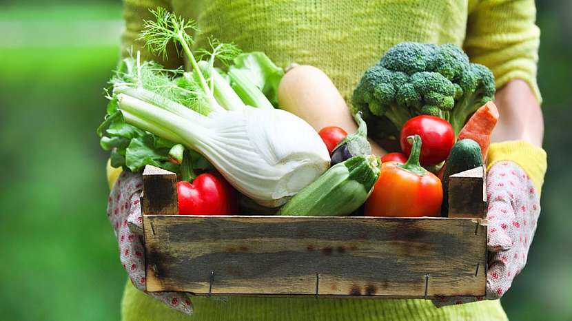 Recepty na podporu imunity ze sezonní zeleniny a ovoce ze zahrady