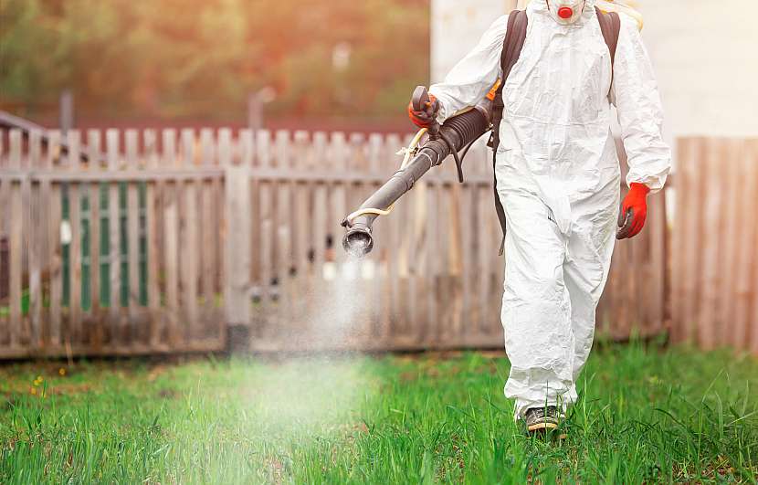 Pesticidy používáme k ochraně rostlin
