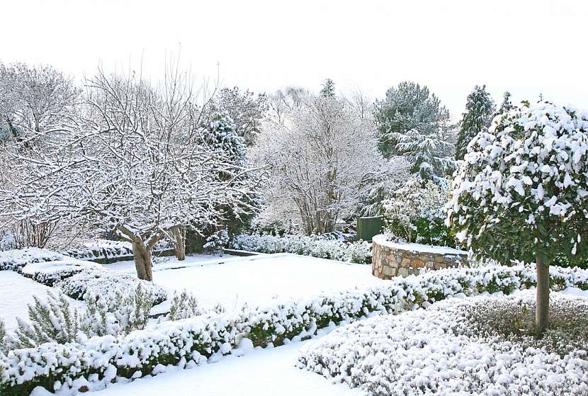 3 mýty o údržbě okrasné zahrady v zimě
