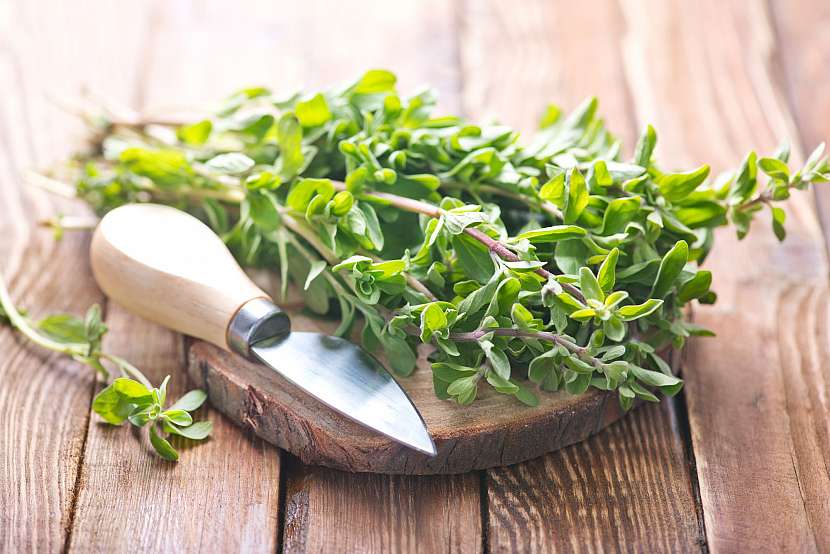 Vypěstujte si bylinky do salátů, které na vašem stole nesmí chybět