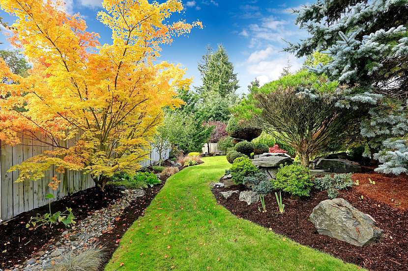Ozdobte si na podzim zahradu, zasaďte si na ni barevné keře