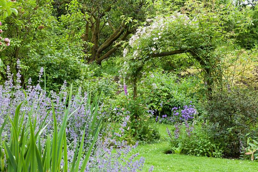 Co vysadit do romanticky laděné zahrady