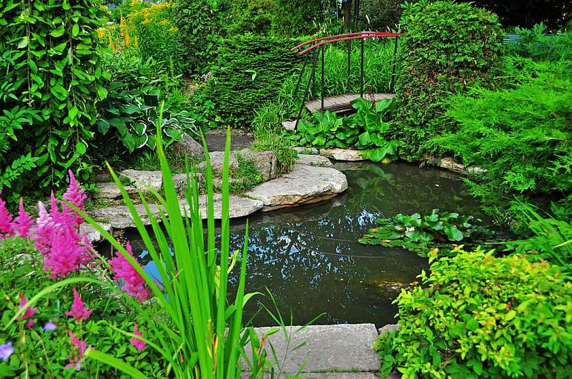 Relaxační zahrady s potůčky a vodopády
