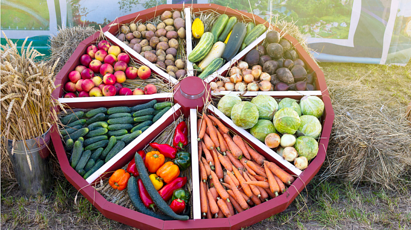 Jak ideálně doma skladovat ovoce a zeleninu?