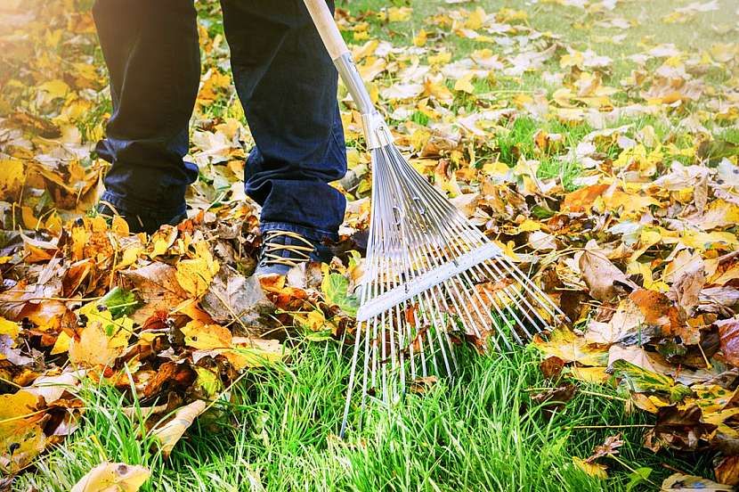 Zahradní hygiena v&amp;nbsp;listopadu a&amp;nbsp;jak na úklid zahrady