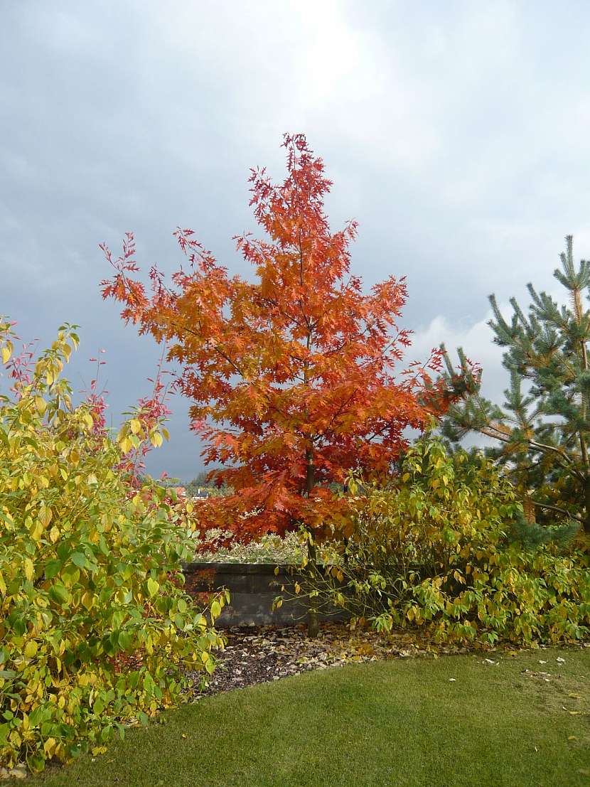 Nádherná podzimní zahrada &amp;#8211; můžete ji mít také!
