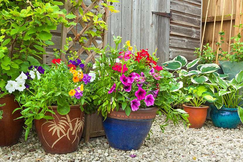 Truhlíky, džbery a květináče na hluchá místa na zahradě