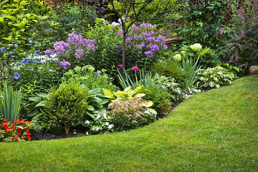 Jak správně založit zahradu