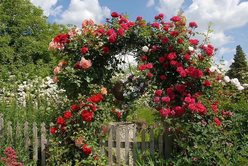 Nejkrásnějším prvkem na zahradě je zahradní oblouk porostlý popínavou růží