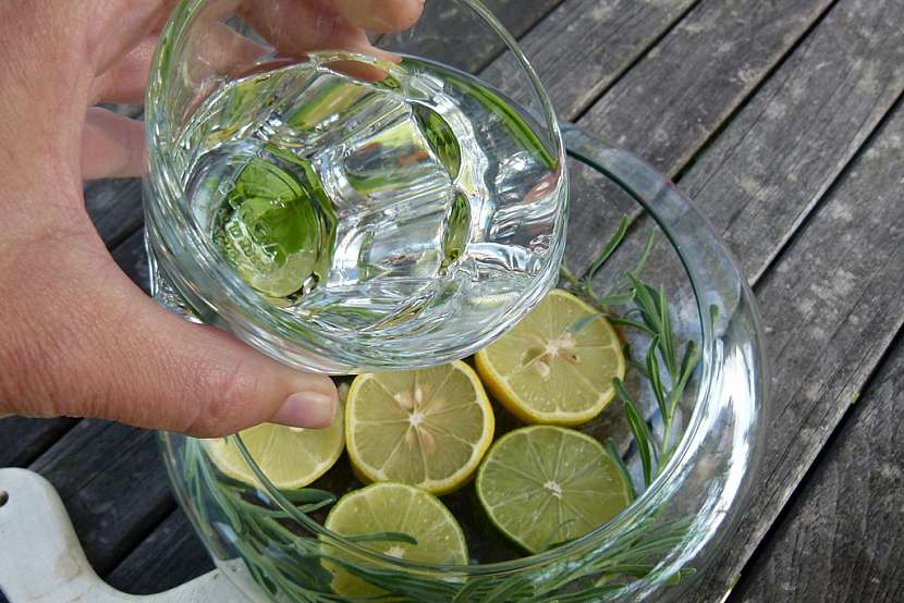 Dekorační miska s citrusy: zalijte vodou