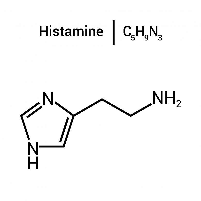 Histamin je důležitá látka, kterou potřebujeme, když je jí však moc, způsobuje to nemalé potíže 