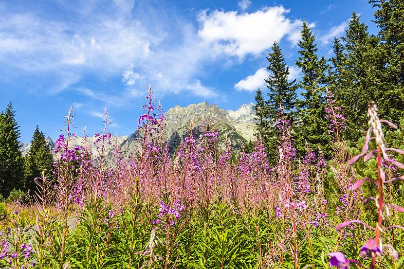 Vysoké Tatry v létě rozehrají autentické přírodní divadlo nejen pro ty, kteří míří na vysokohorské túry