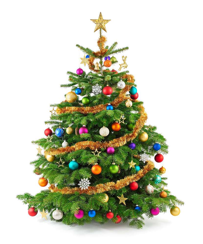 Vánoční stromeček známe asi teprve posledních 300 let