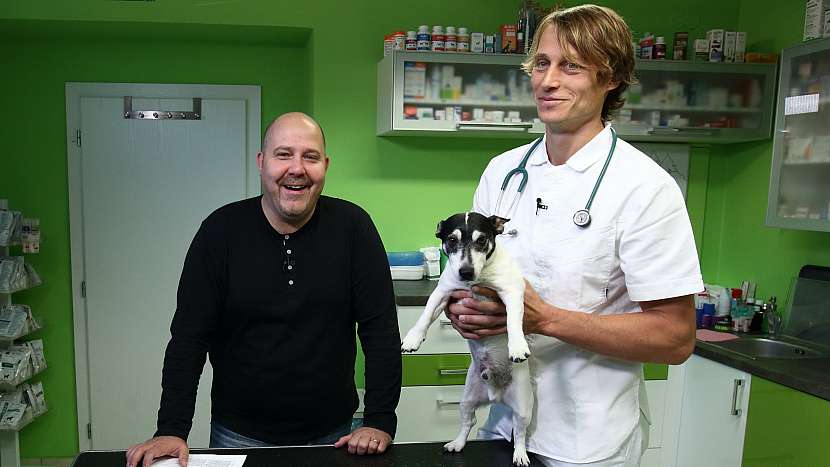 Vše o příčinách a projevech podzimní deprese u psů a koček ví veterinář Rostislav Šimek