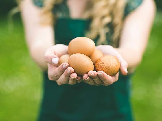 Na trhu můžete najít různé druhy vajec, které se liší jak původem, tak způsobem chovu slepic
