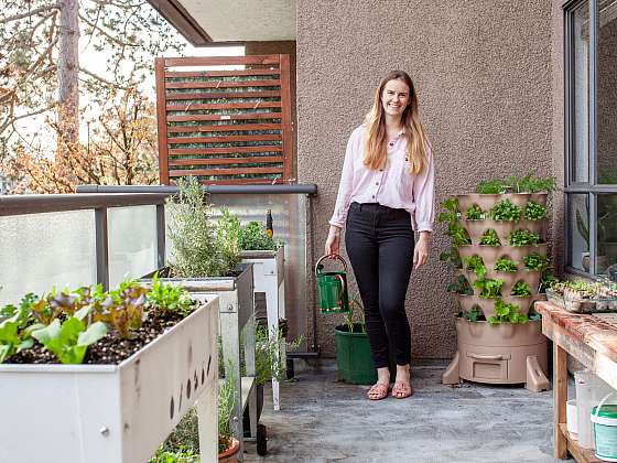 Na balkoně v nádobách můžete vypěstovat i mrkev nebo ředkvičky (Zdroj: Depositphotos (https://cz.depositphotos.com))