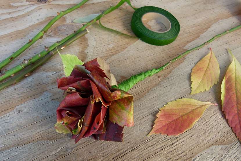 Růže z barevného podzimního listí: připevněte stonek