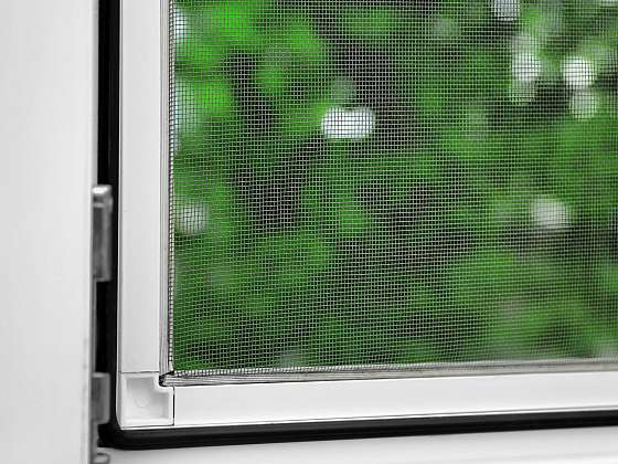 Sítě do oken – jednoduše a účinně zabrání návštěvě hmyzu u vás doma (Zdroj: depositphotos.com)