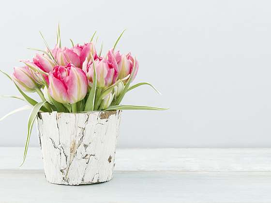 Dekorace z tulipánů jako vyznání lásky