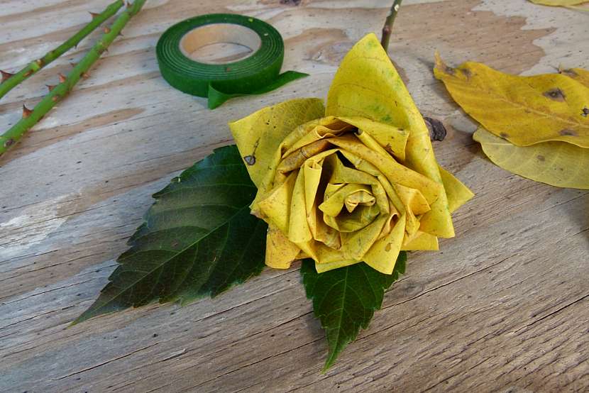 Růže z barevného podzimního listí: další růže
