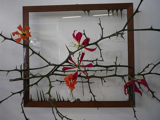 Květinové dekorace v prázdném rámu rozvíjejí fantazii (Zdroj: Ludmila Dušková)