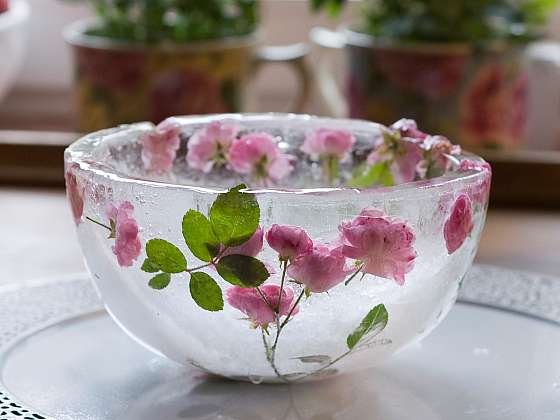 Vyrobte si křehkou květinovou nádheru, ledovou misku (Zdroj: Petra Hajská)