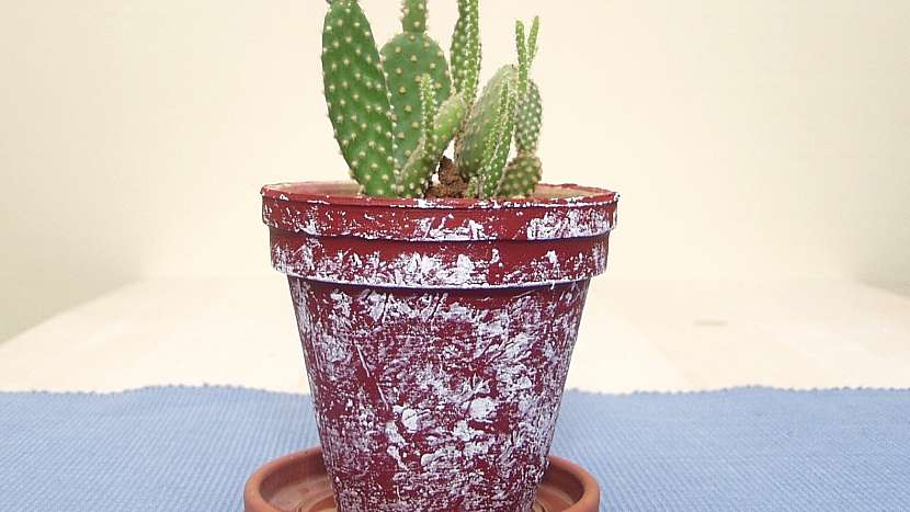 Jak udělat dárek s patinou: hotový květináč s kaktusem