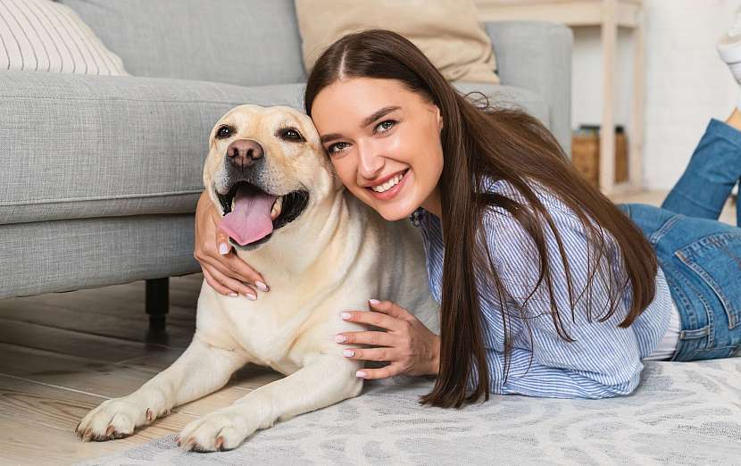 Jak nejlépe zařídit obývací pokoj pro domácího mazlíčka