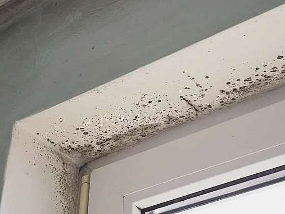 Vlhkost v interiéru je zdrojem tvorby plísní a dalších závažných problémů