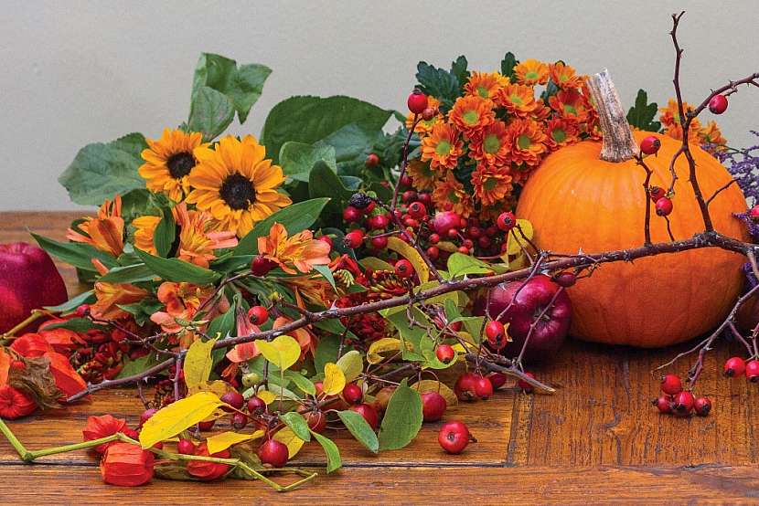 Aranžmá s dýní: Podzimní dekorace v ohnivých barvách