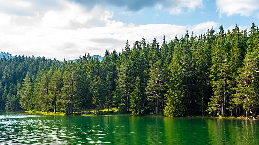 Každoročně se vyplýtvá tolik vody, kolik by se vešlo do Černého jezera