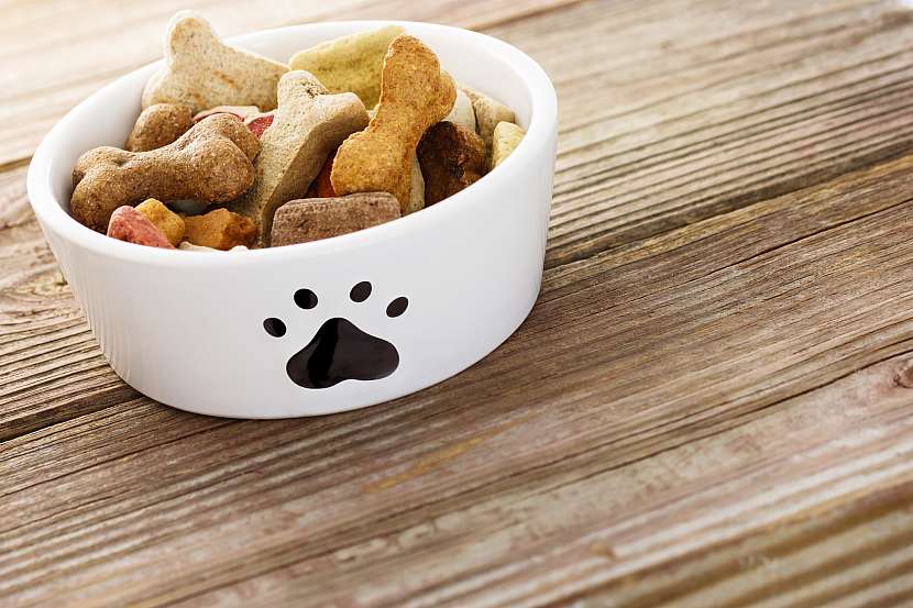 Pokud se u vašeho psa objeví alergie, zkuste změnit jeho jídelníček
