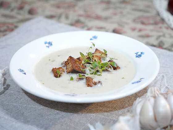 Krémová polévka z česneku u vás bude hitem (Zdroj: Archiv FTV Prima, se svolením FTV Prima)