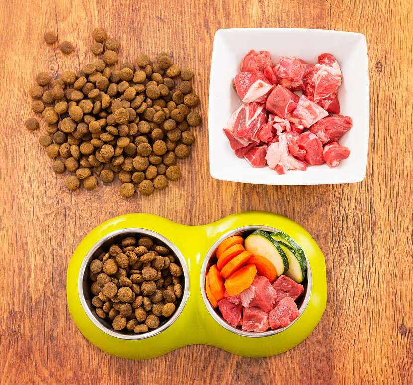 Alergie můžete zmírnit kvalitní skladbou psí stravy