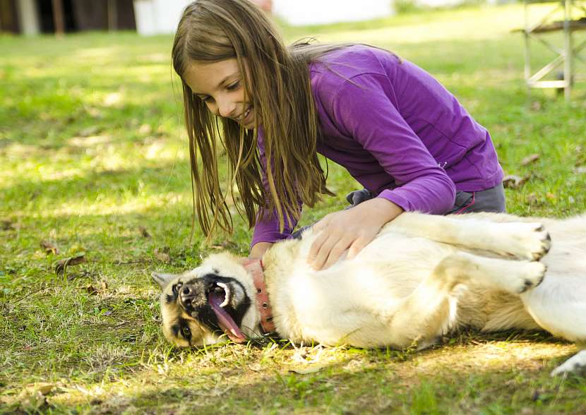 Hra venku se může během minuty změnit v horor díky otravě psa